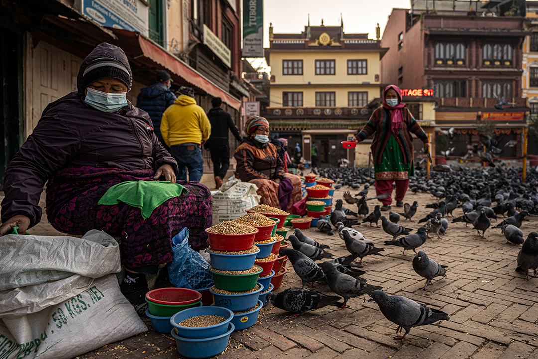 A person sitting on the street tossing birdfeed to a crowd of pigeons in Boudhanath Stupa.